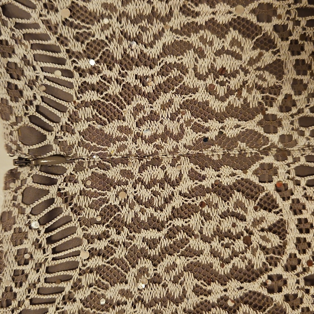 Taupe Lacey Dress| Jessica Howard| W Sz. 14 |Bridal, Winter Formal, Fairycore - Picture 7 of 13
